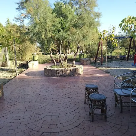 Zest @ Xi Ликсури