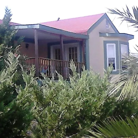 Zest @ Xi Ликсури